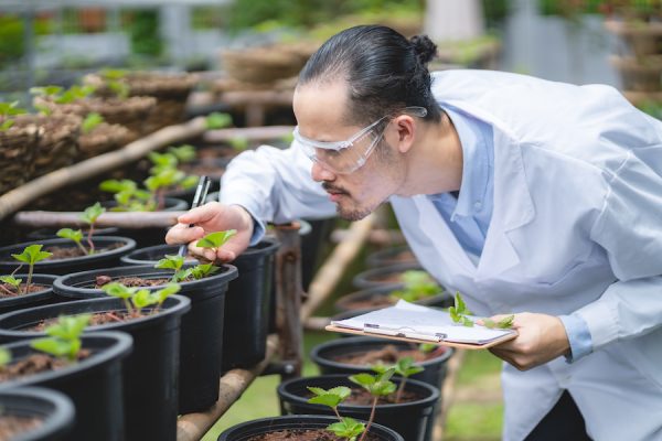 Ferns in Space: NASA’s Mission to Cultivate Plants Beyond Earth’s Atmosphere