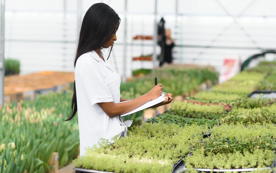 Beautiful young smiling african american girl, worker with flowers in greenhouse. Concept work in the greenhouse, flowers.